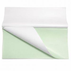 20 PAPIER POUR BOUQUET DE FLEUR VERT PASTEL & BLANC