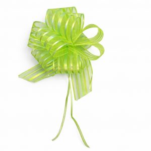 Ruban de fleurs vert pistache GM " tire fleur cadeaux"
